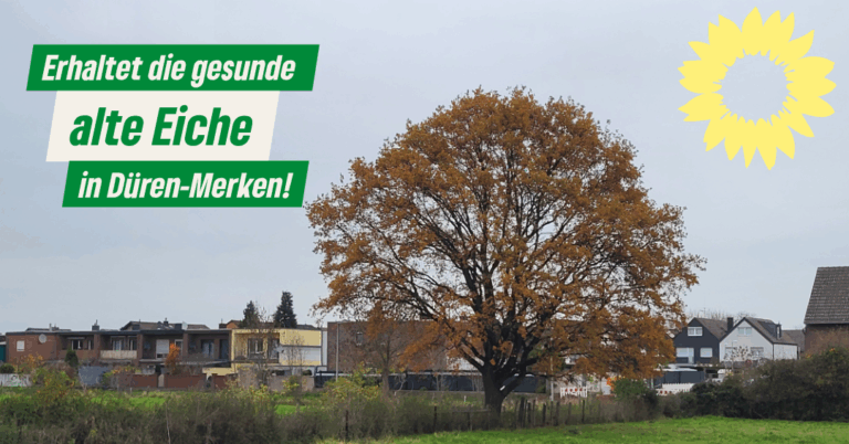 Kritik an Baumfällung!